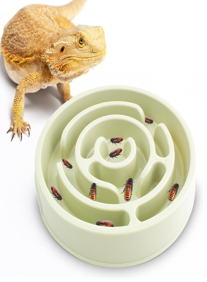 OOXYG Bearded Dragon Maze Bowls Puzzle, Bearded Dragon Feeding Dish Food Bowl, Reptile Feeding Dish to Slow Down Eating, Worm Dubia Cricket Anti-Escape Food Bowl - Image 1